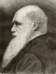 Charles Darwin, de 